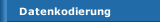 Datenkodierung