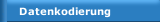 Datenkodierung
